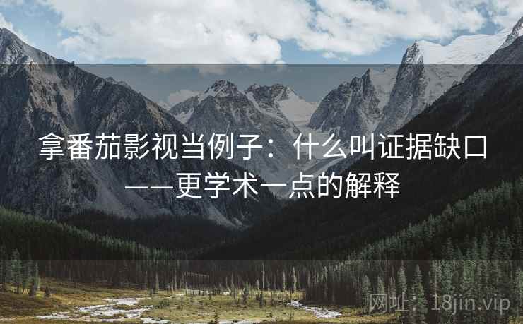 拿番茄影视当例子:什么叫证据缺口——更学术一点的解释 拿番茄影视当例子:什么叫证据缺口——更学术一点的解释