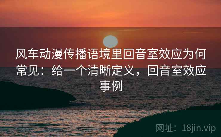 风车动漫传播语境里回音室效应为何常见：给一个清晰定义，回音室效应事例